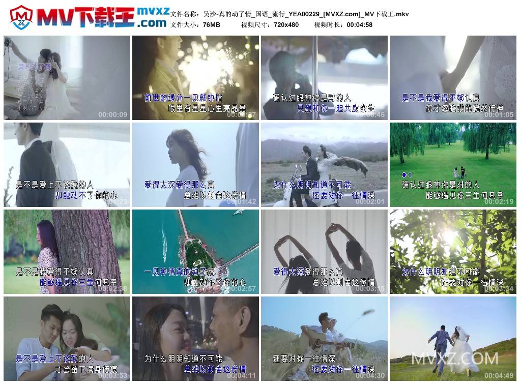 吴沙-真的动了情_国语_流行_YEA00229